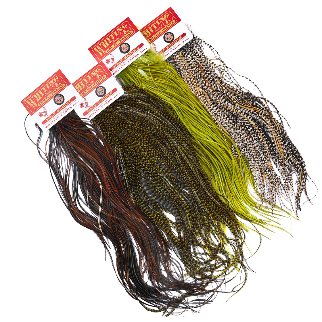 Whiting bronze 1/2 selle