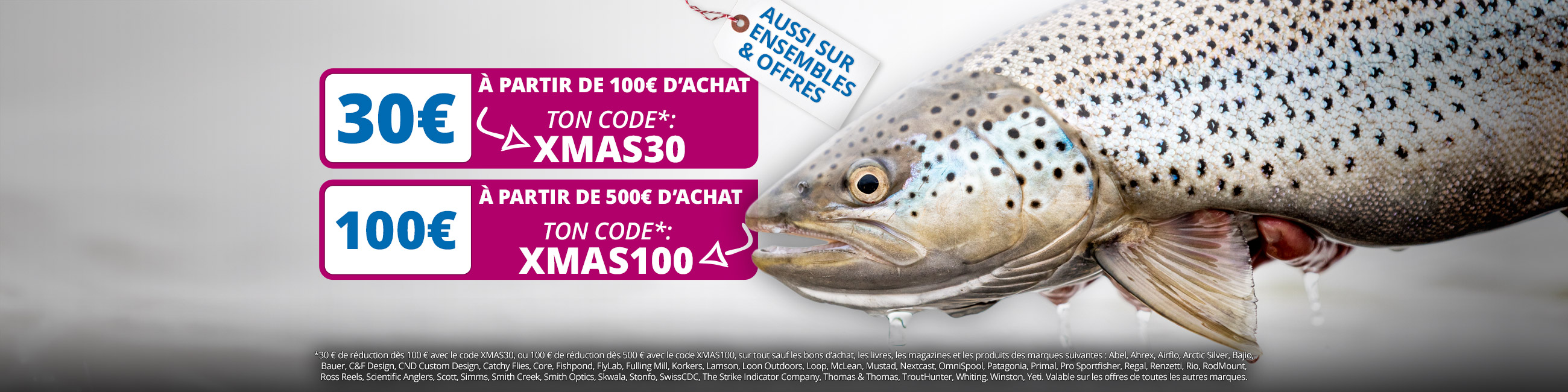 Deux bons d'achat: XMAS30 & XMAS100