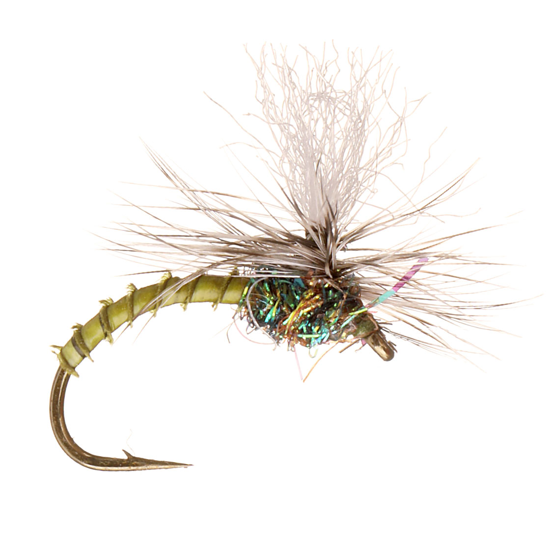 Guideline Mouche sèche - Klink Lt. Olive Biot