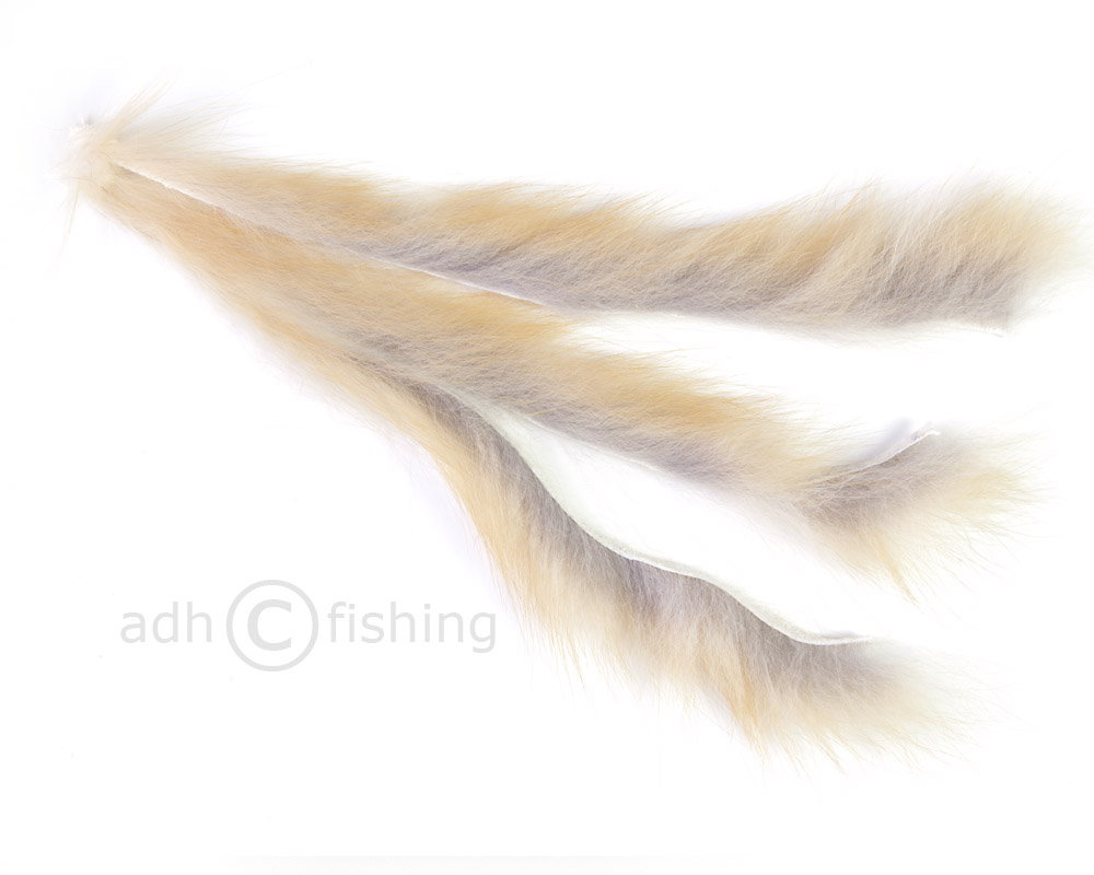 Renard rouge Red Fox Zonker