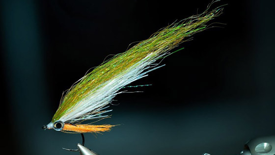 Vidéo de montage « Perch Flesh » Baitfish Streamer avec Florian Gräser
