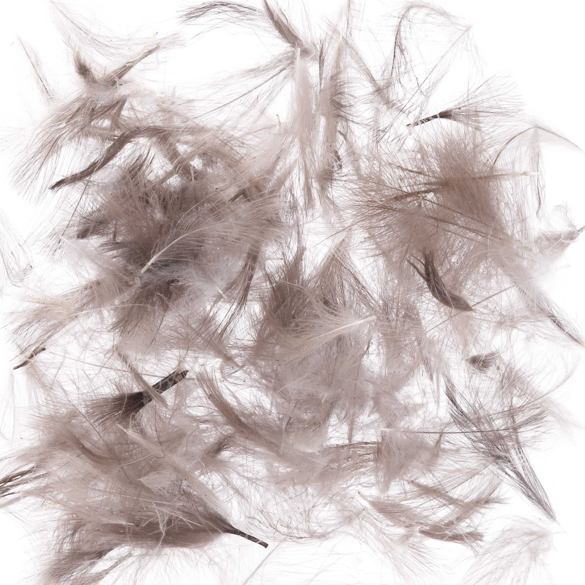 Soldarini Wild CDC Feather 0,6 g Pack