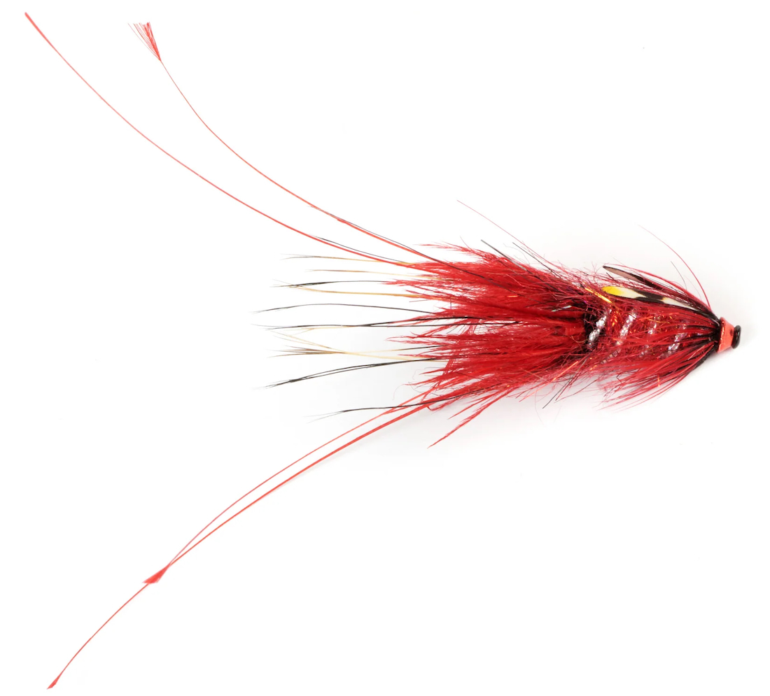 Frödin Flies Mouche tubulaire Pig Series - Bloody
