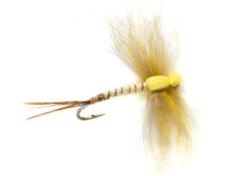 Fulling Mill mouche sèche - Procter's Stillborn Mayfly mouche de mai