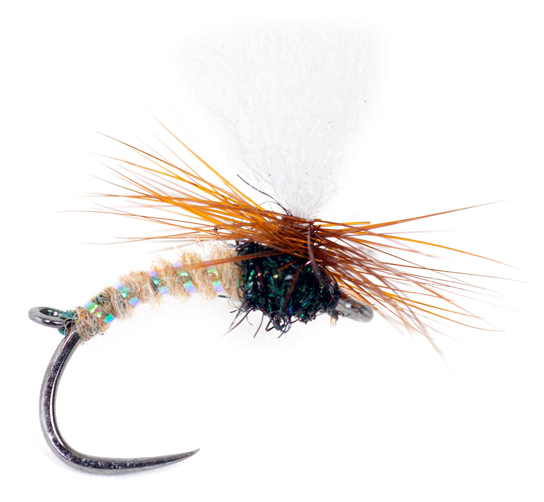 Guideline Mouche sèche - Indi Klink