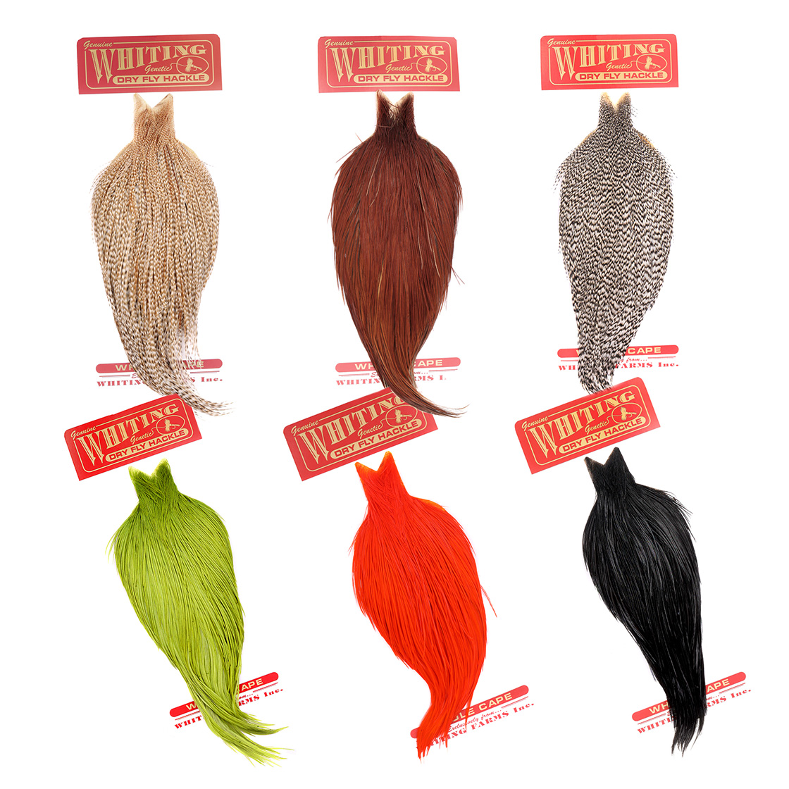 Cap commercial de Whiting