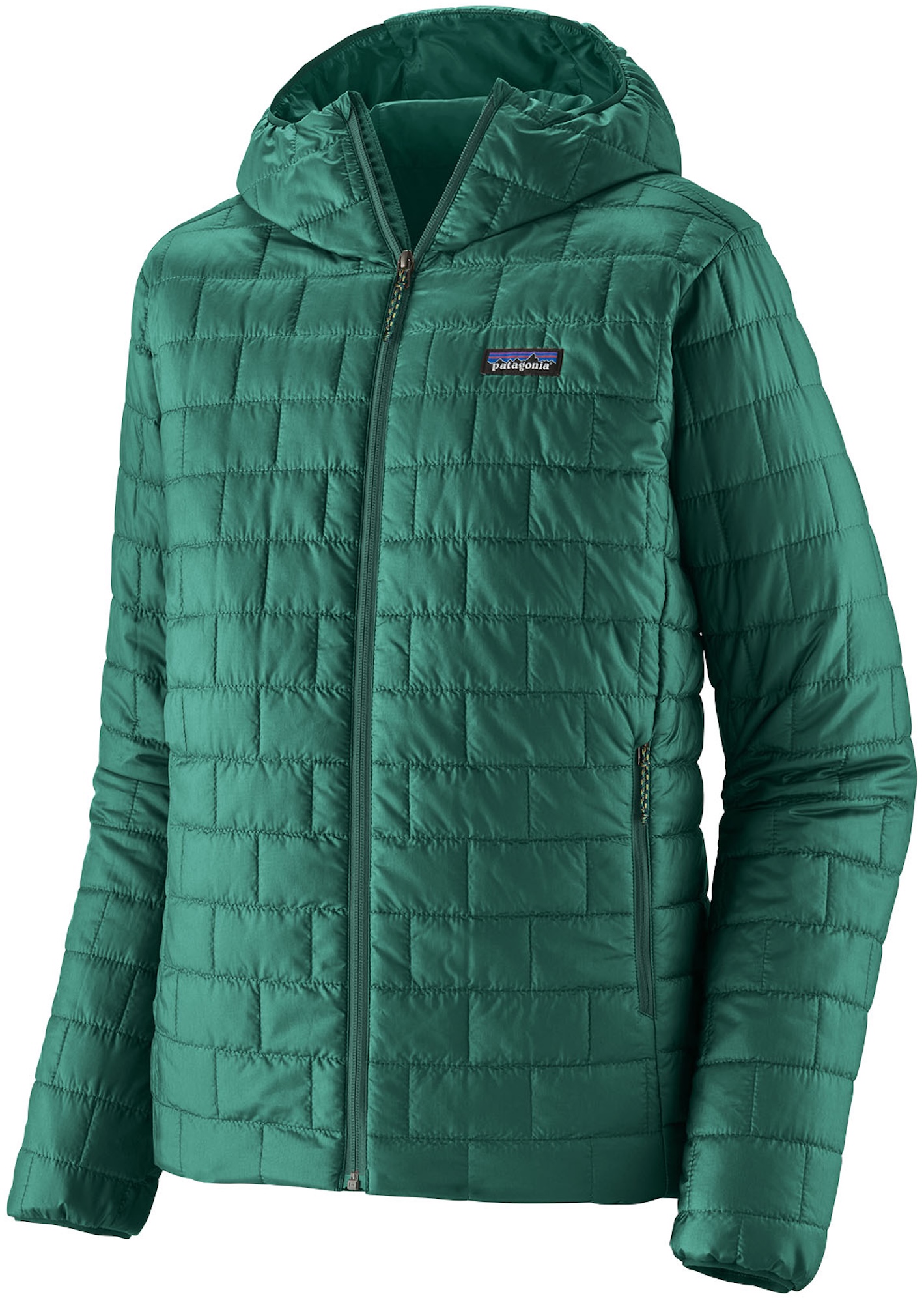 Patagonia Nano Puff Hoody GEMG