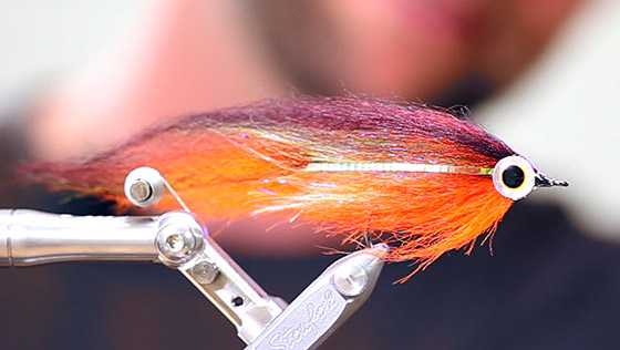 Vidéo de montage : Pike Runner Streamer