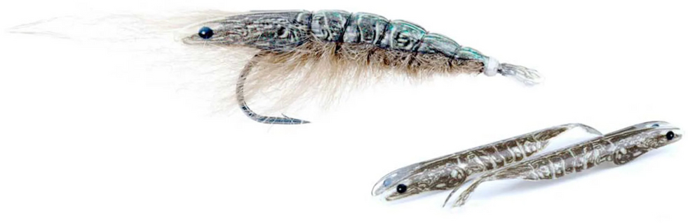 Pro Sportfisher Shrimp Shell Skeletor