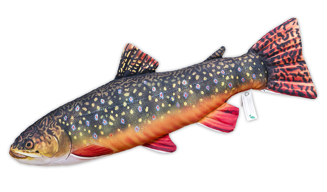 Oreiller de poisson doudou omble chevalier 35cm