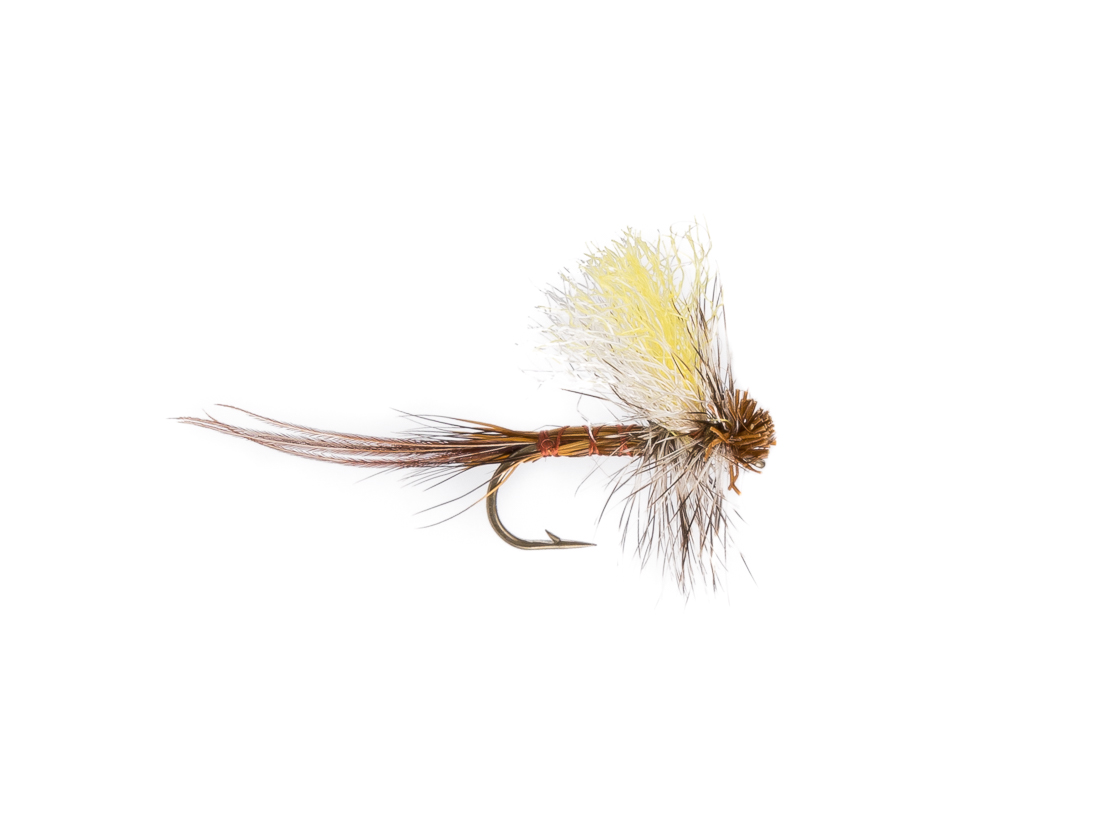 Tailed Dry or Die Mouche sèche