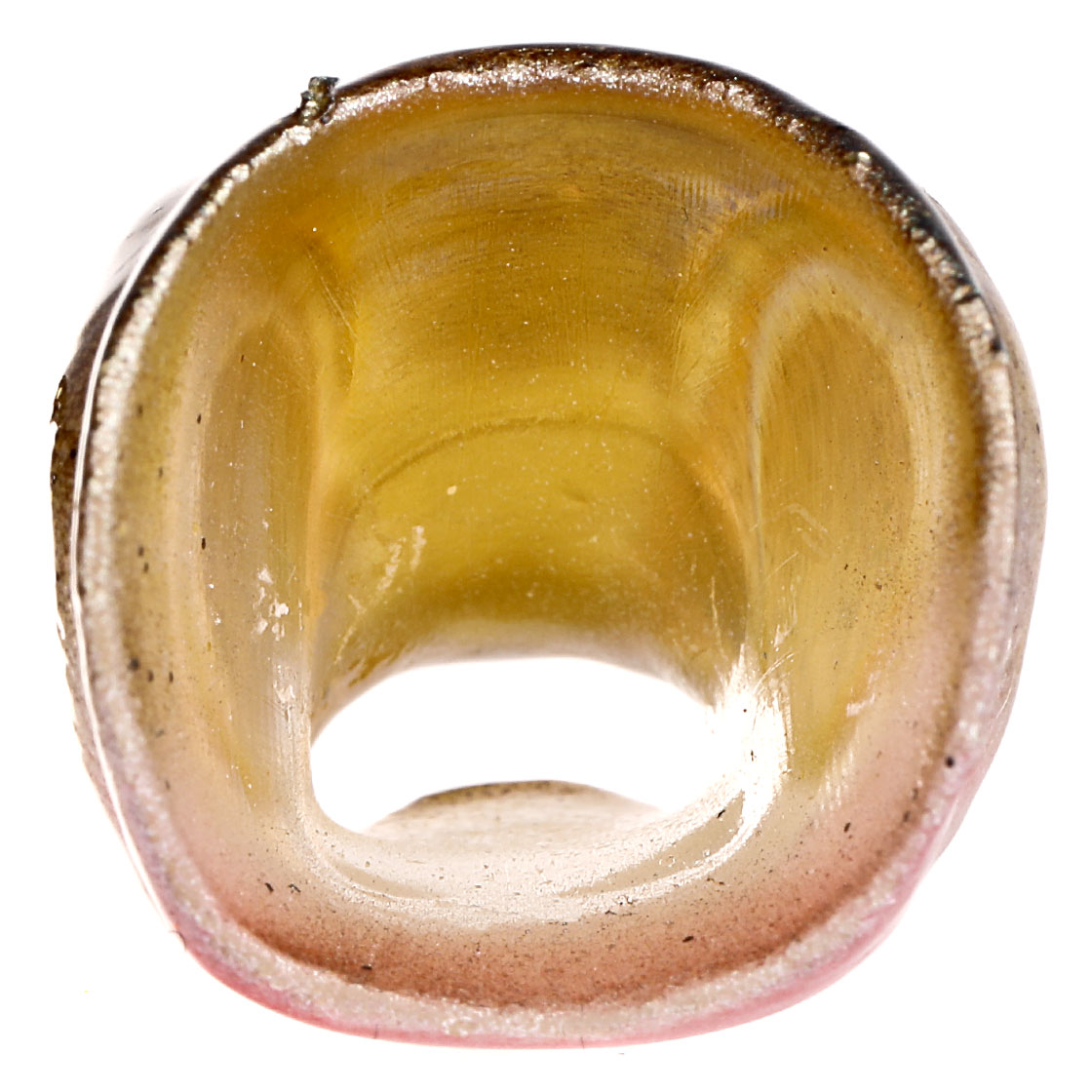 P-23055_fishmask_gru-nfoto2