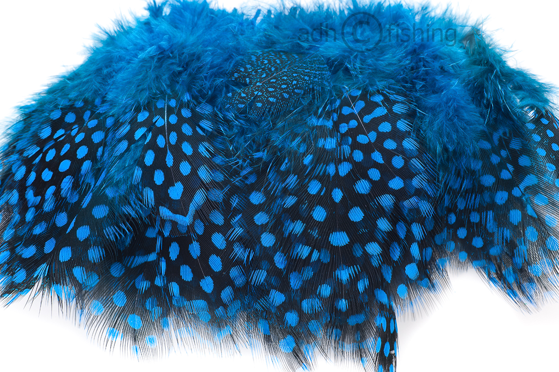 silver dr. blue
