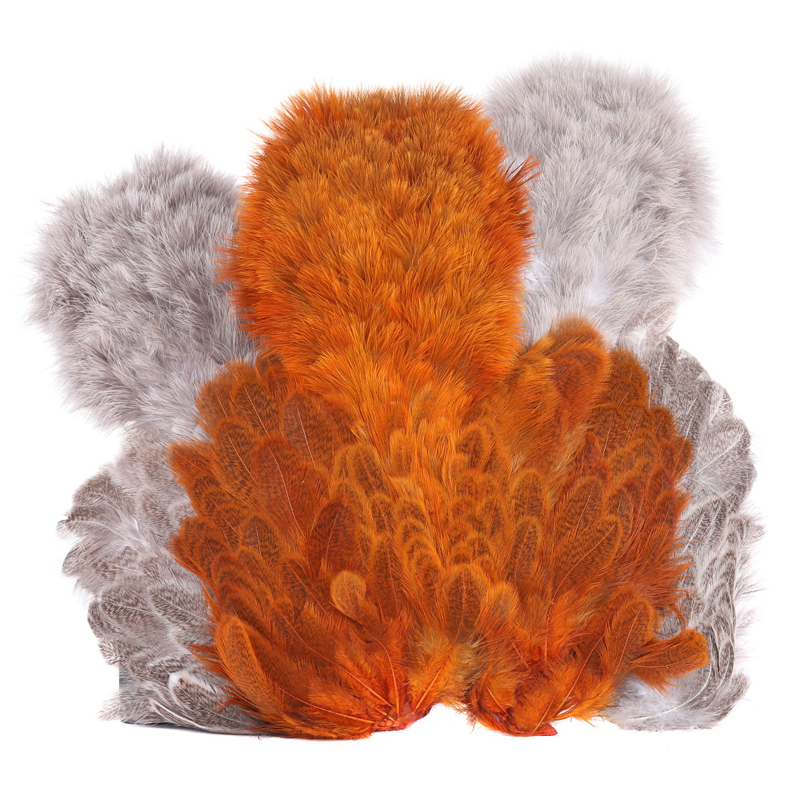 Whiting Brahma Hen SH/C