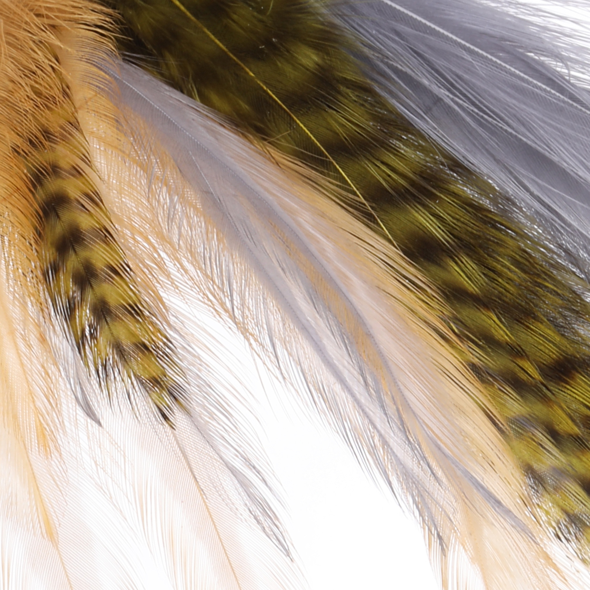 Wapsi Dry Fly Neck Hackle Mini Pack moyen #12 - #14