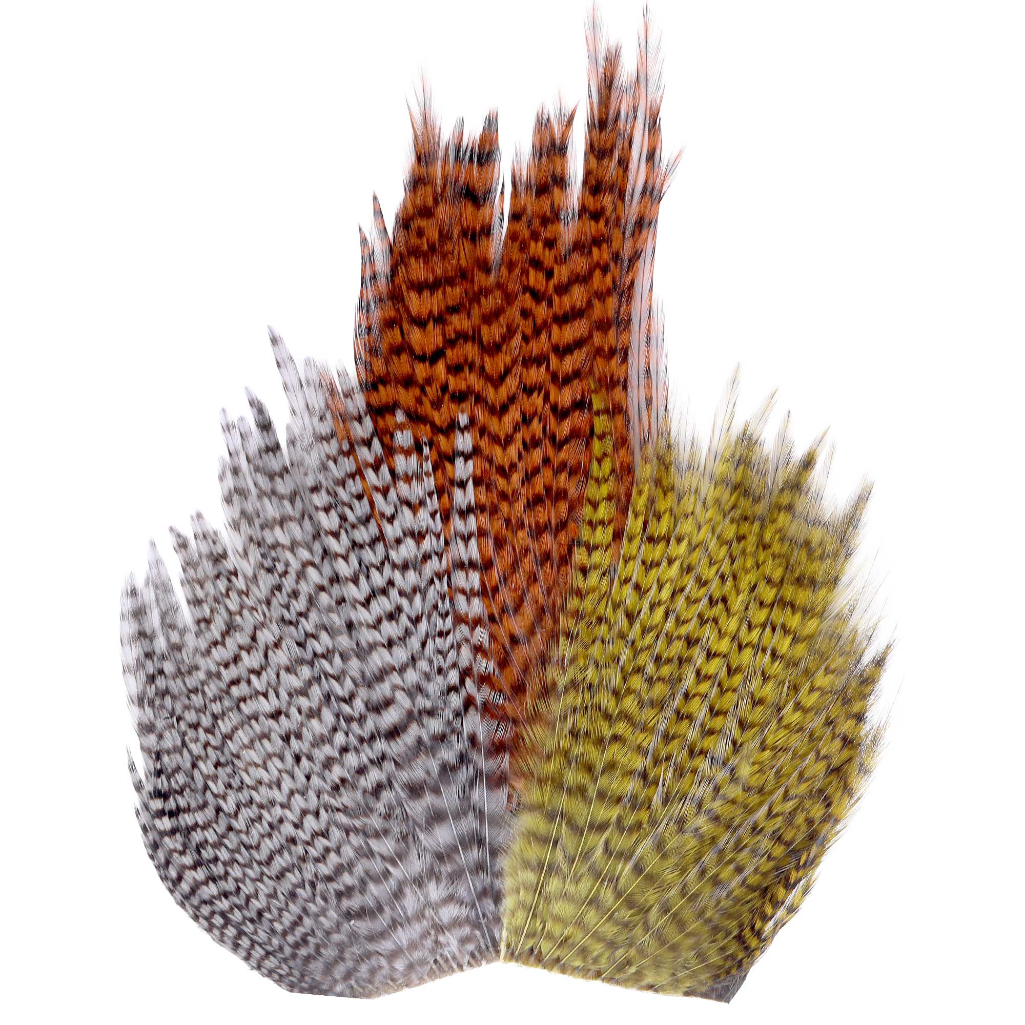 Wapsi Ewing Sweet Spot Grizzly Qualité supérieure