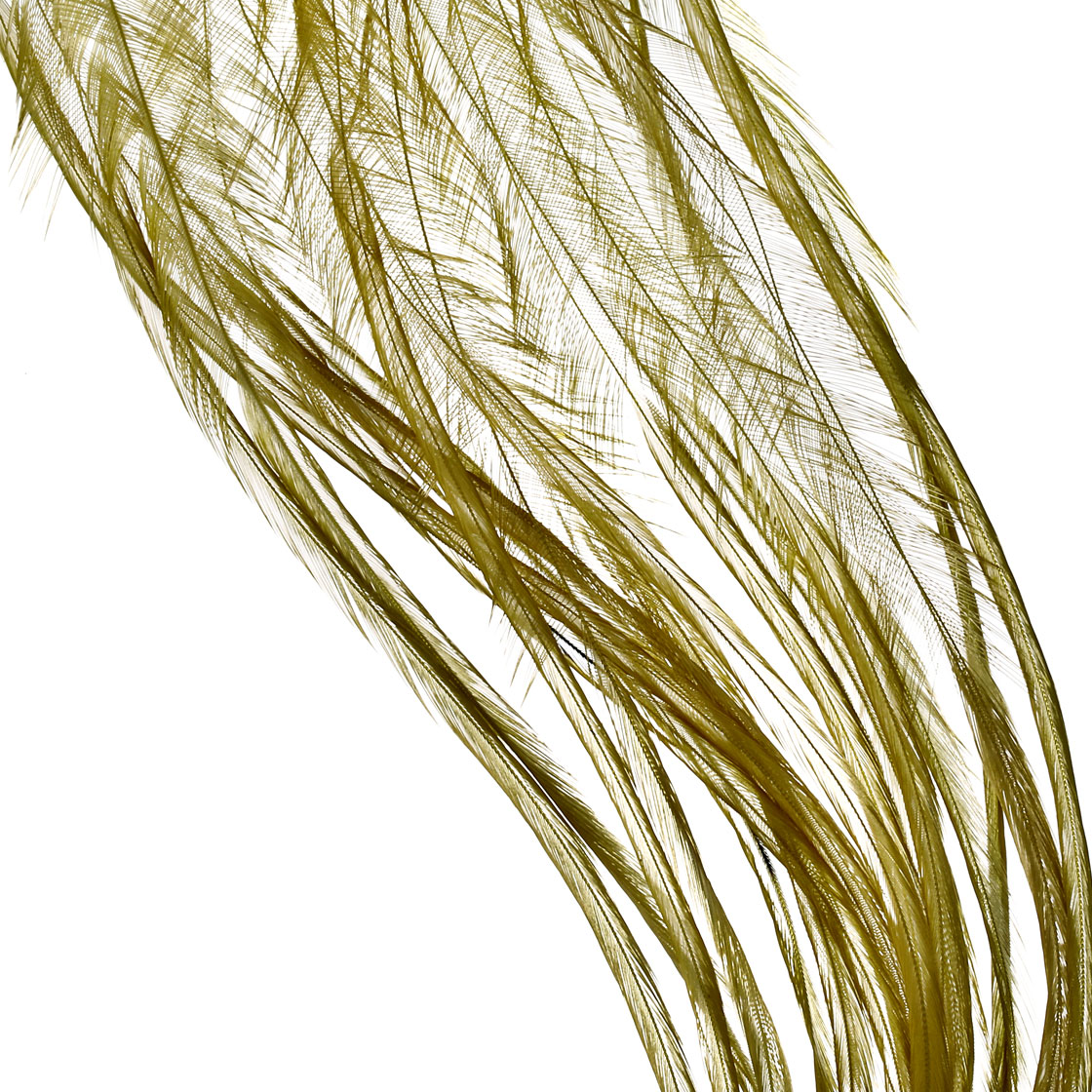 white dyed dark olive