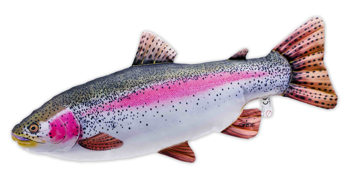 Coussin poisson Doudou truite arc-en-ciel 62cm