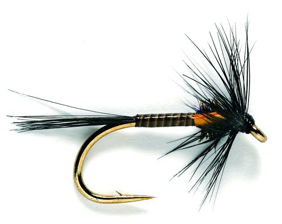 Fulling Mill Buzzer Traffic Light Black Nymphes