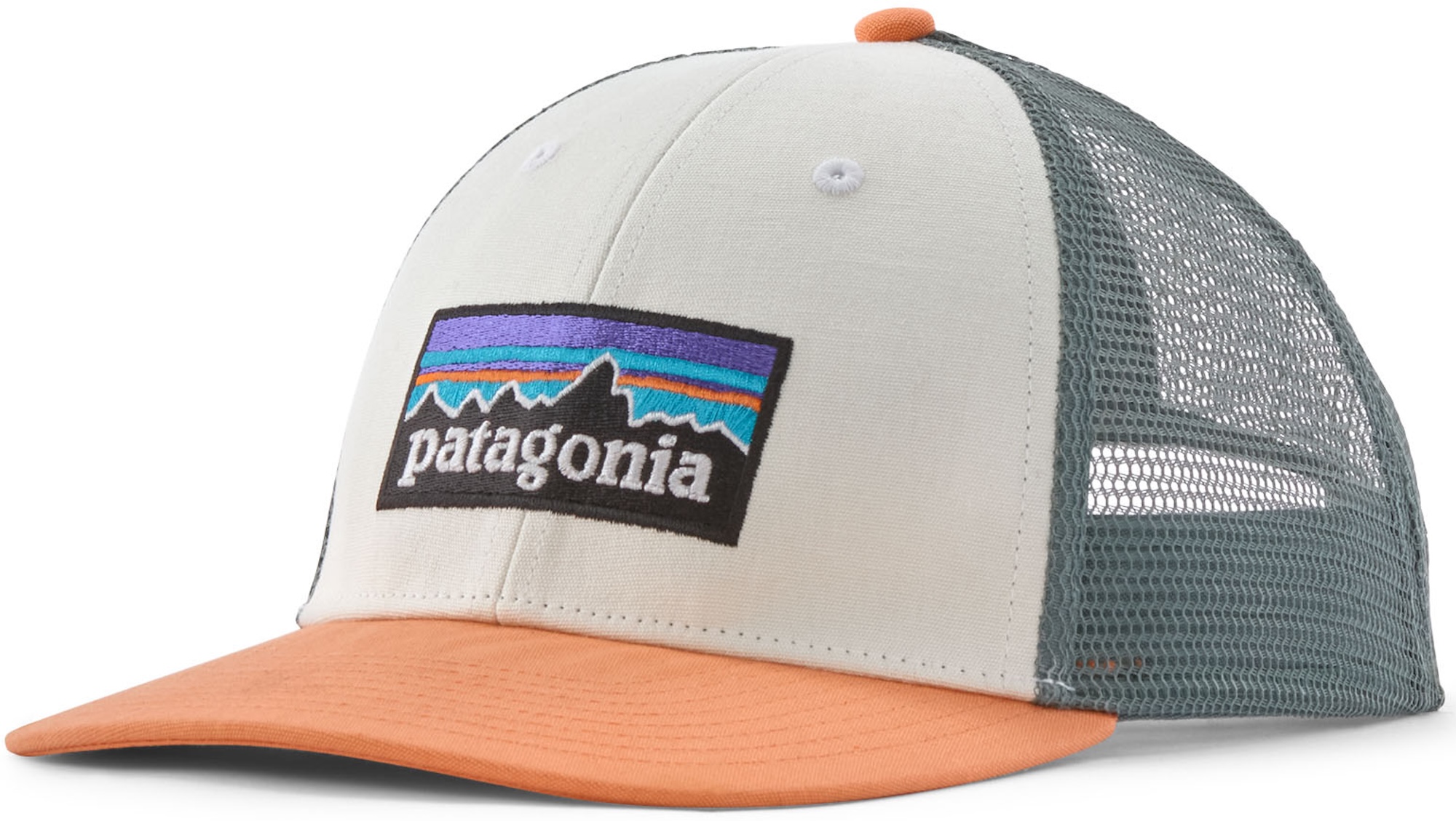 Patagonia P-6 Logo LoPro Trucker Hat Cap WTPE