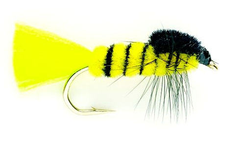 Nymphes de Fulling Mill - Montana Wasp