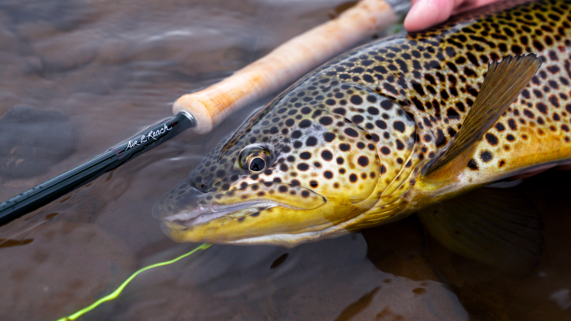 Winston_Air_2_Reach_Blog-14