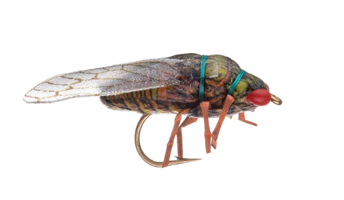 Vania Realistic Trout Cicadia Soft Leg Dryfly mouche sèche olive