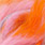 salmon pink orange