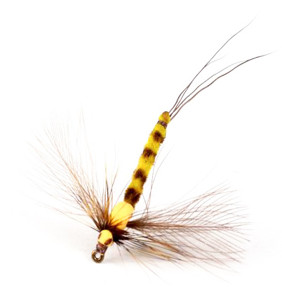 Guideline Mouche sèche - Vulgata Spent Spinner