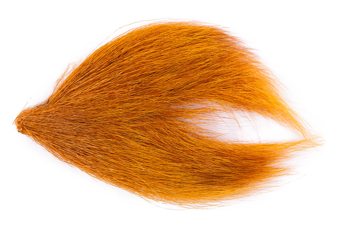 ginger