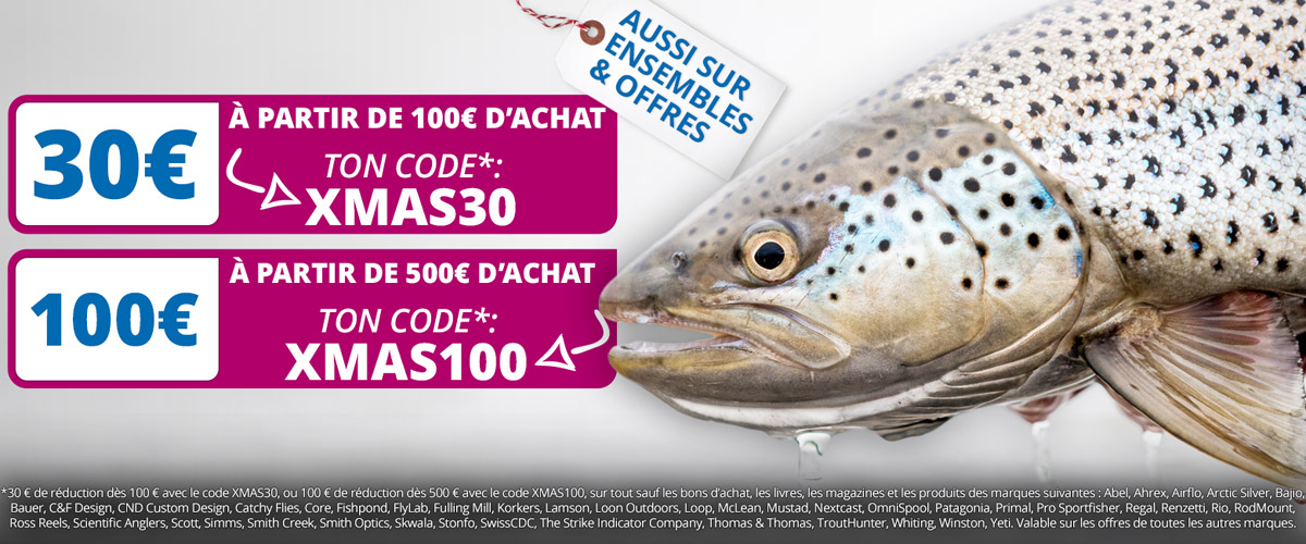 Deux bons d'achat: XMAS30 & XMAS100