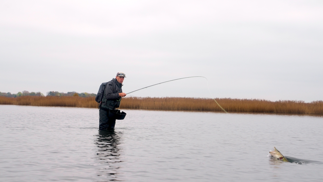 Blog_Guideline_Embrace_Pike_Kit_1 - Wir testen: Guideline Embrace Pike Kit - Ready To Fish!