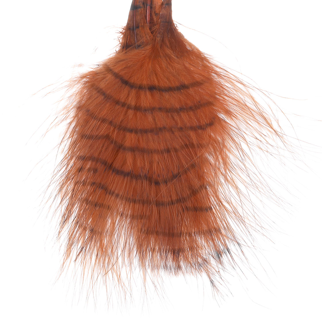 burnt orange/barred black