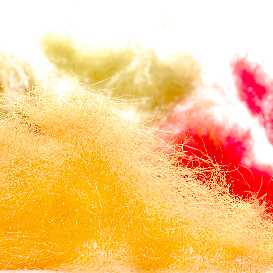 Hends Seal Tulen Dubbing de phoque