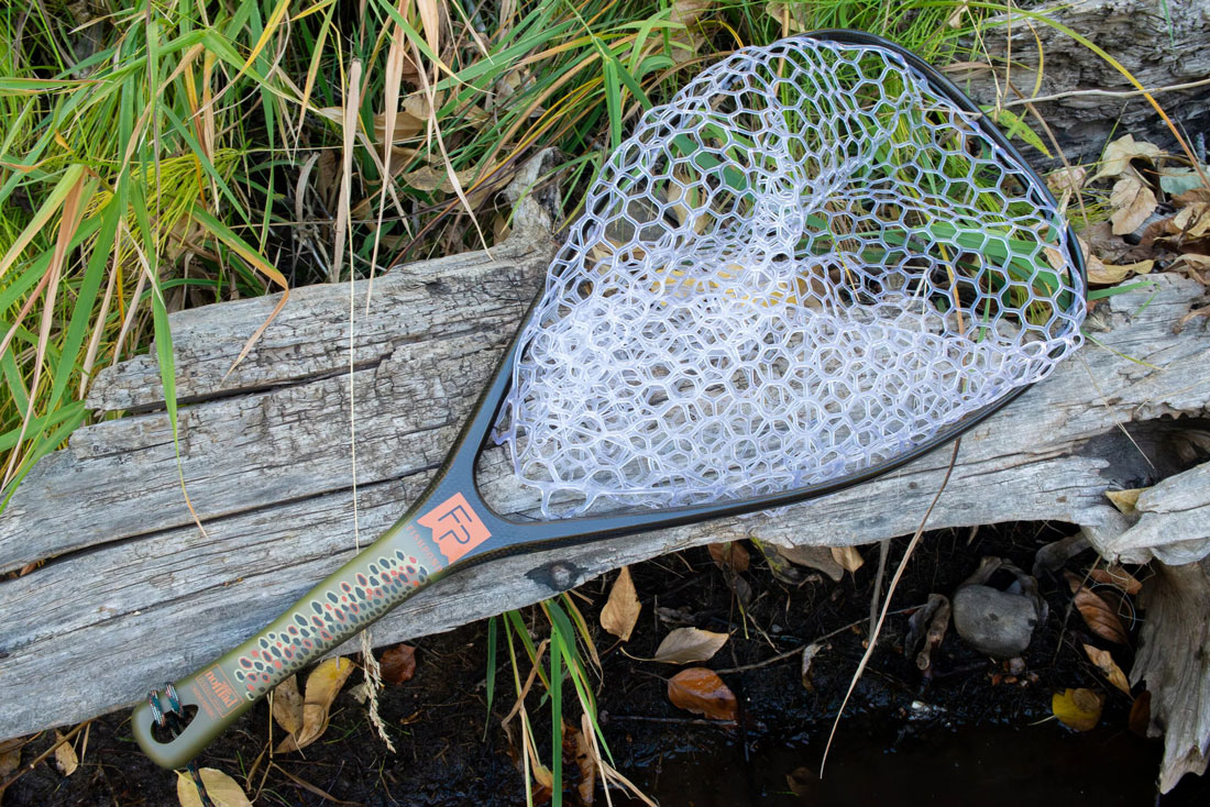 different color (brown trout)