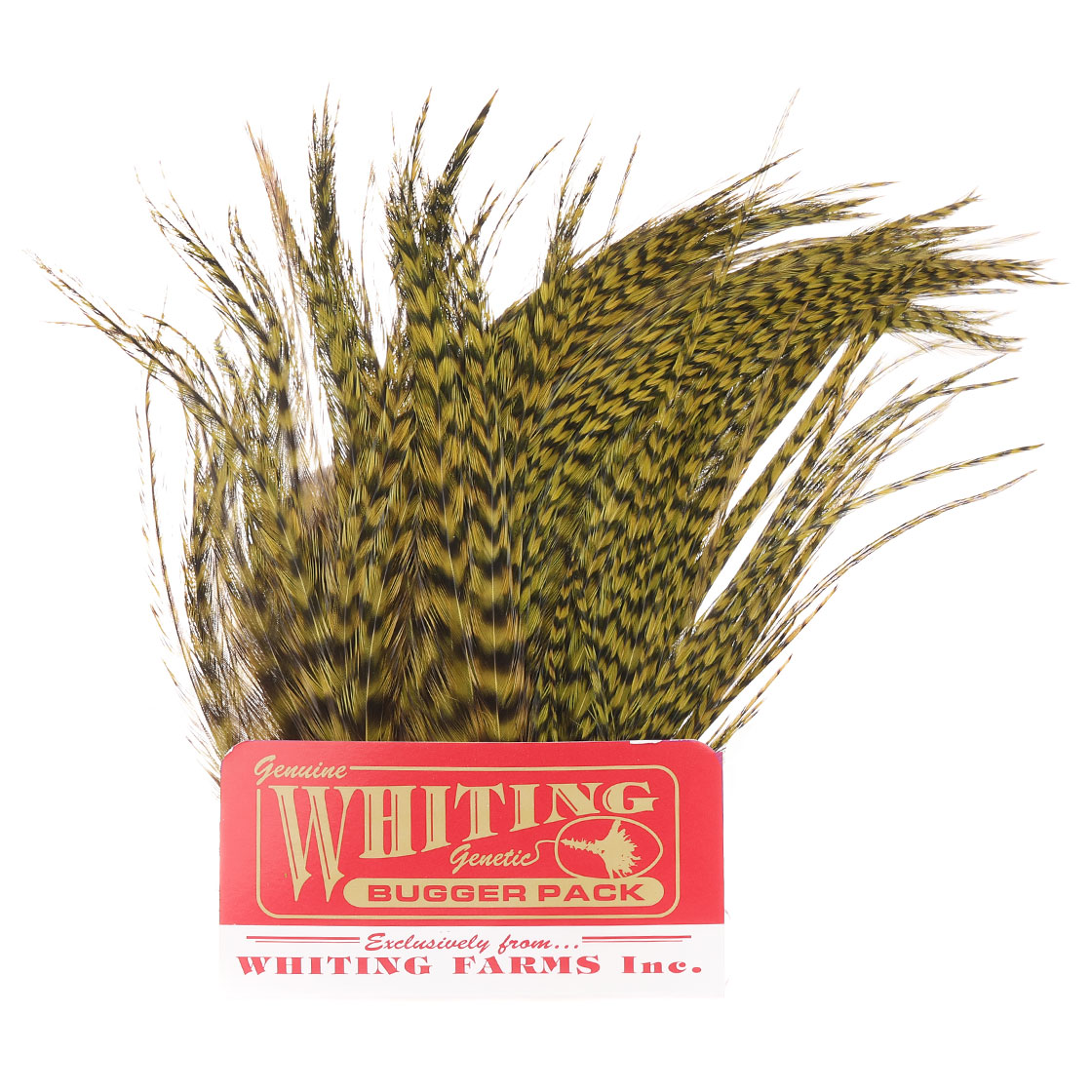 grizzly dyed golden olive