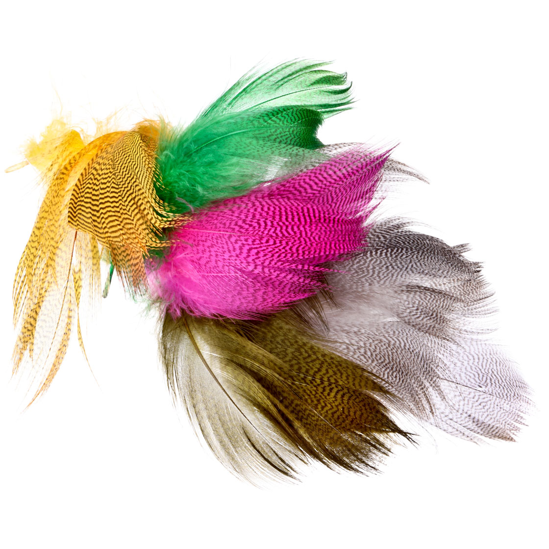 Fly Scene Barred Mallard Flank plumes