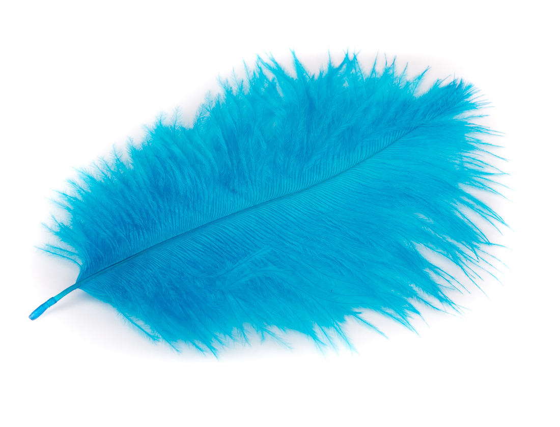 kingfisher blue