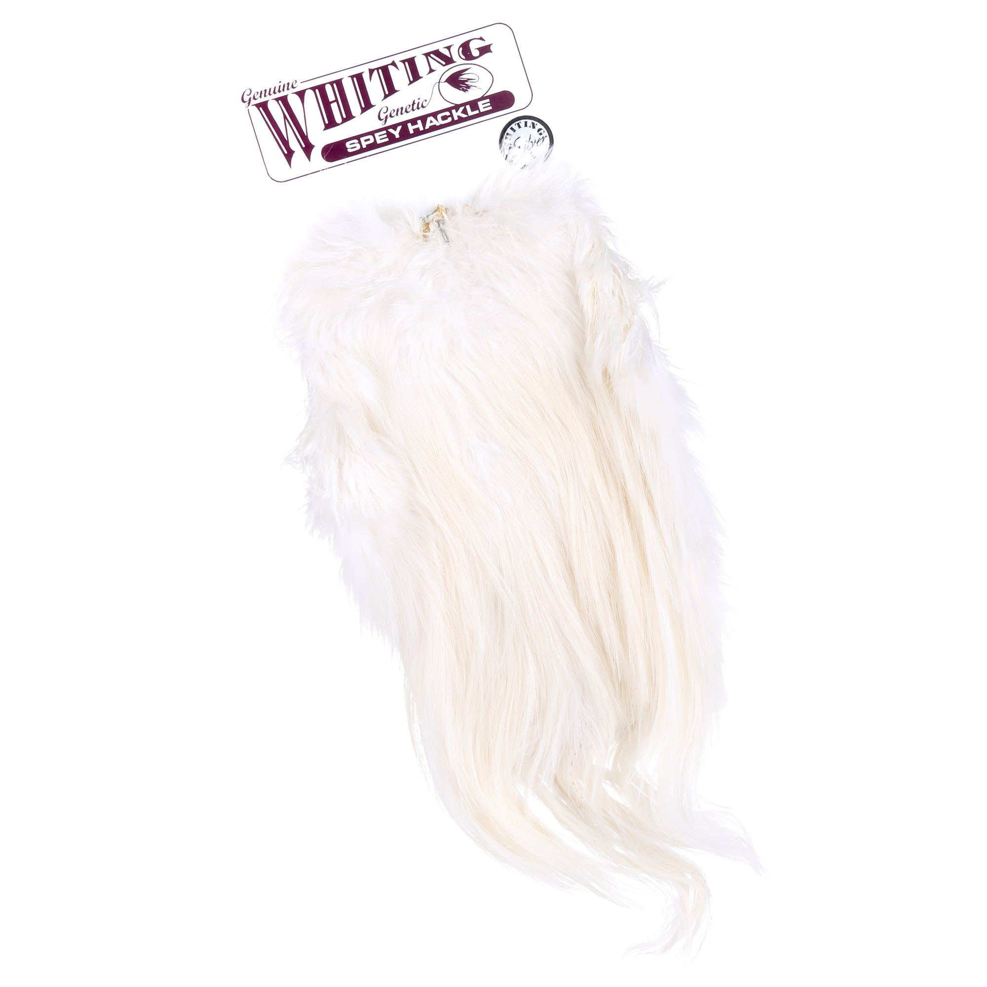 Selle Whiting Silver Spey Hackle Rooster