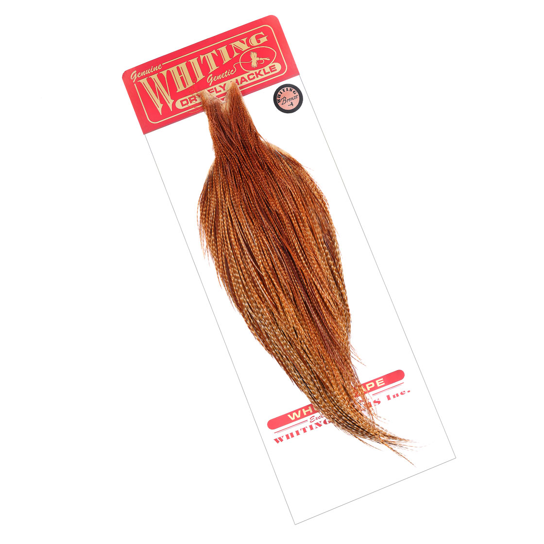 barred dark ginger