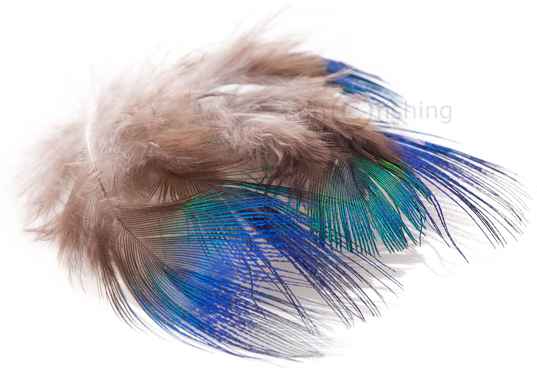 Veniard paon plumes de corps Peacock Blue Neck