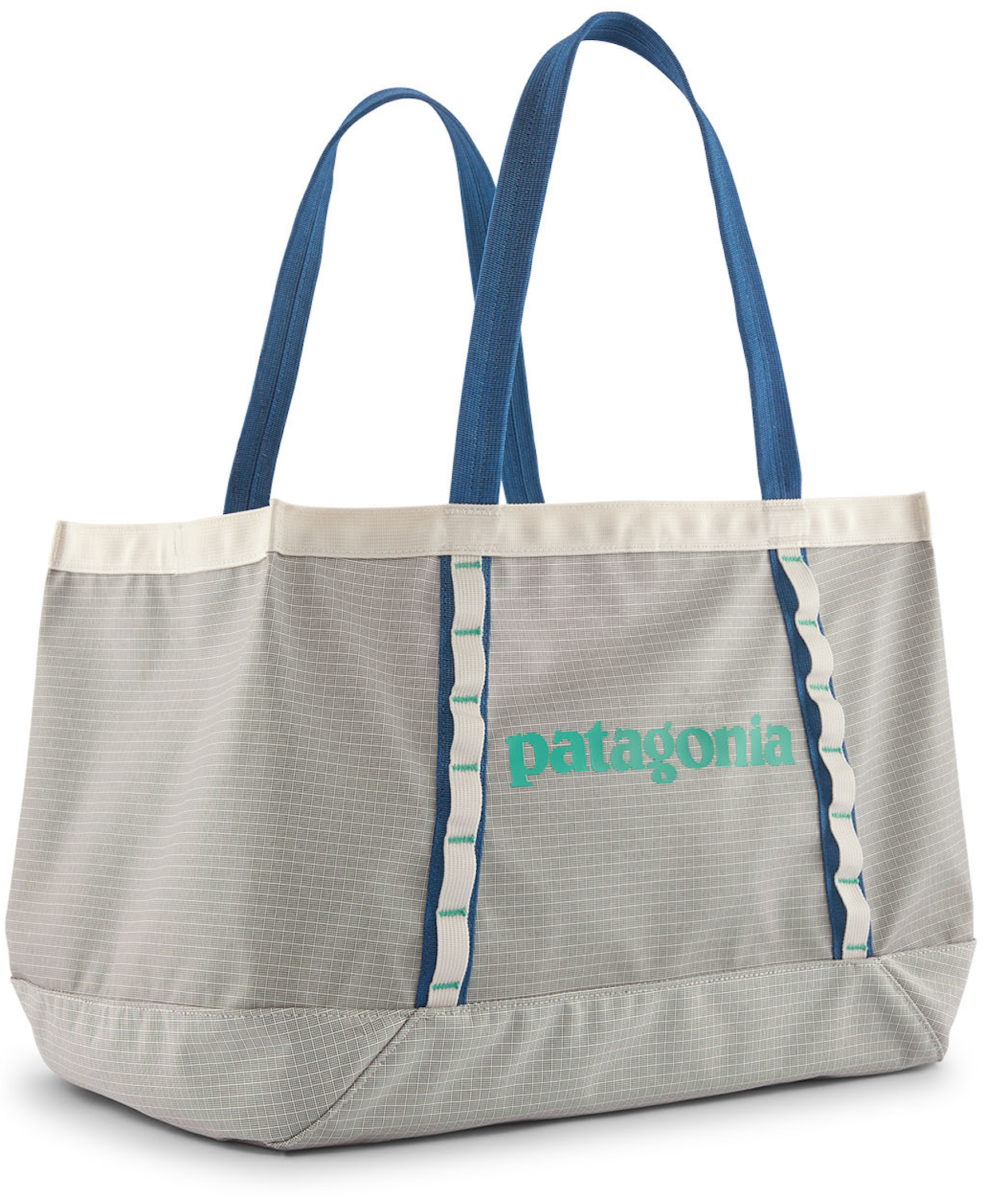 Patagonia Black Hole Tote 25L Sac BCW