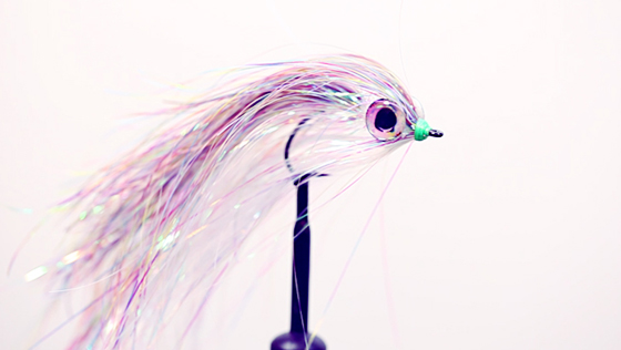 Vidéo de montage : Goggle Eye Streamer