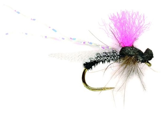 Mouche sèche Fulling Mill - Drop Arse Gnat Barbless