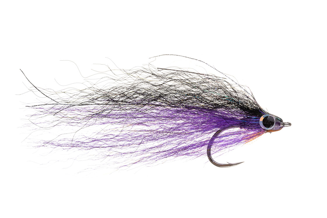 Fishient H2O Streamer - Déceveur Tiger noir & pourpre
