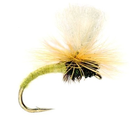 Fulling Mill mouche sèche - Klink Yellow