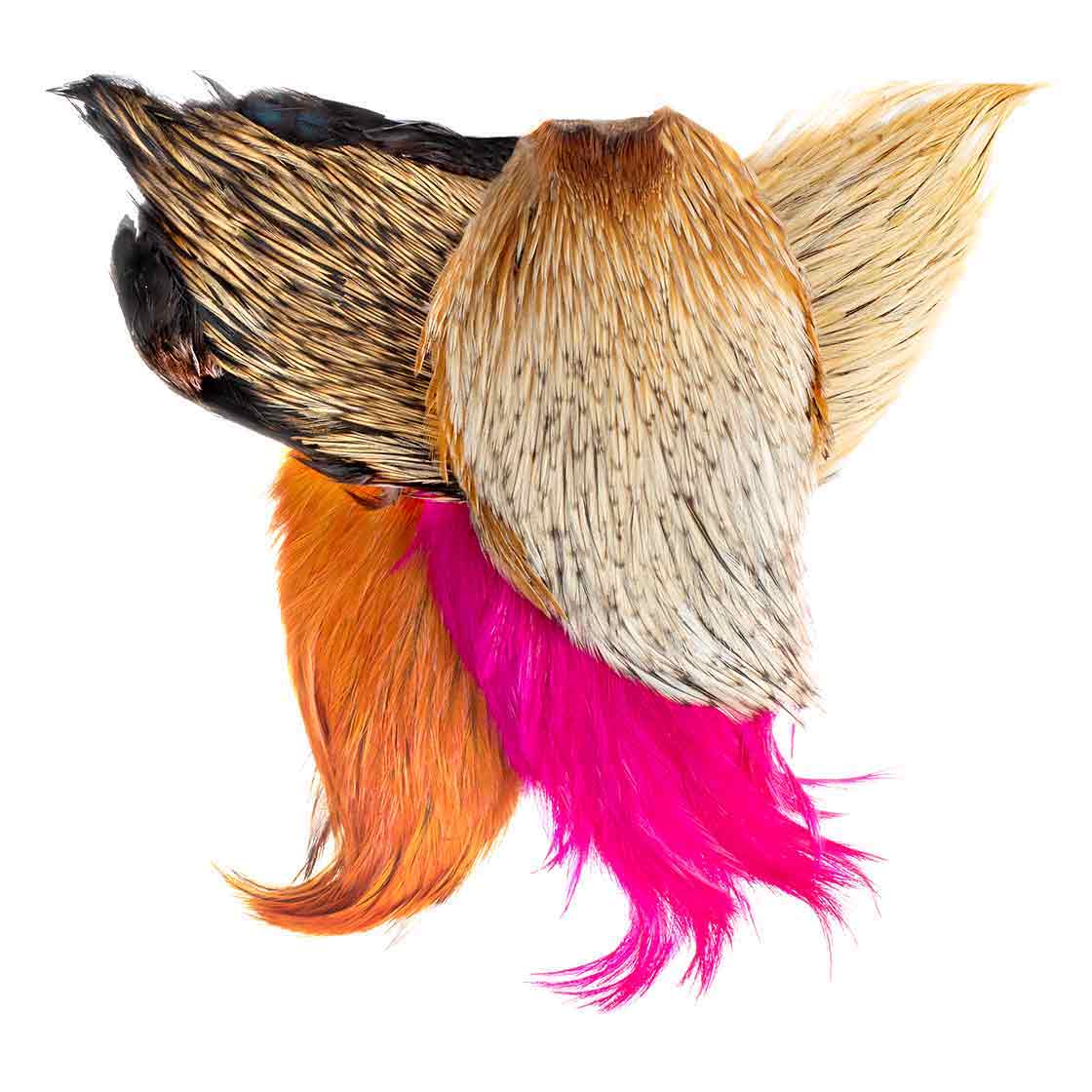 Fly Scene Coq Soufflet / Cape