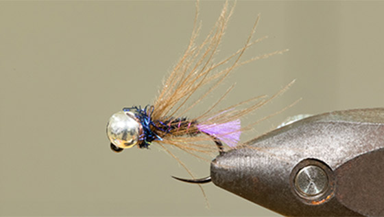 Vidéo de montage Purple Glo Brite Pheasant Tail Jig