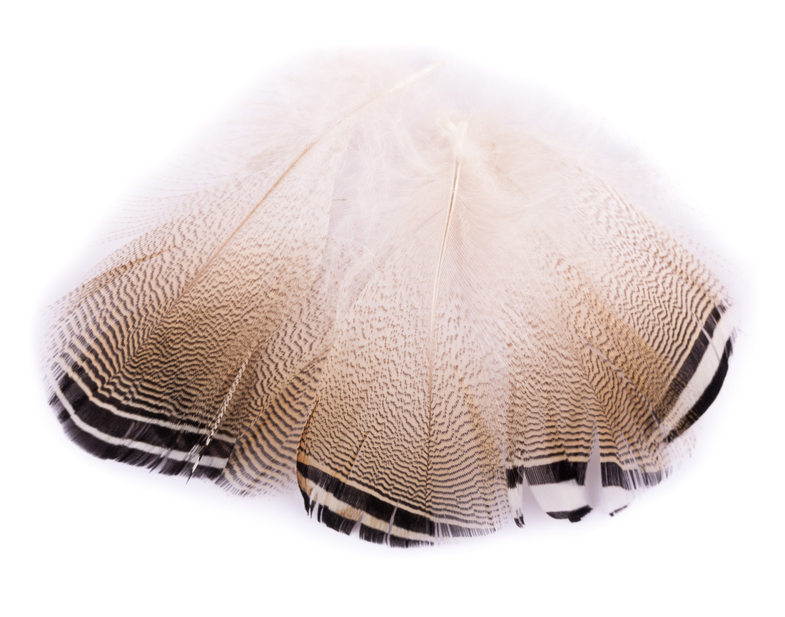 Wapsi Wood Duck Black & White Flank (flanc de canard noir et blanc)