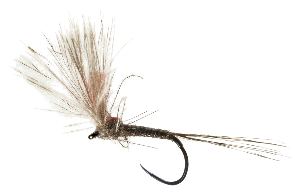 Soldarini mouche sèche - Special Quill Sulphur Hi-Viz CDC
